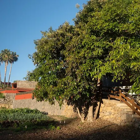 Апартаменты Pico Лос-Реалехос