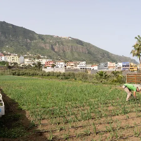 Pico * Лос-Реалехос