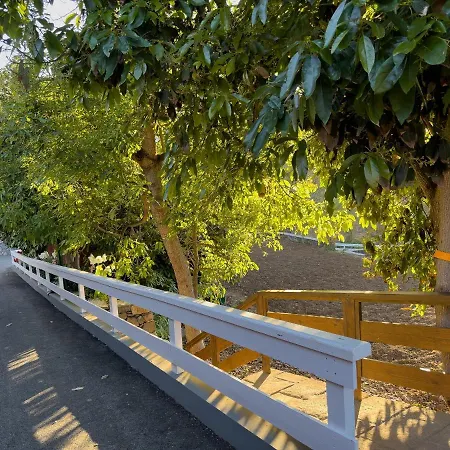 Pico Лос-Реалехос