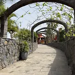 Pico Los Realejos